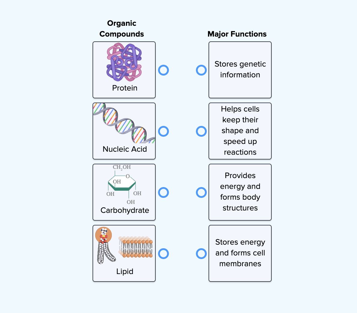 Significance of Carbon ( Read ) | Biology | CK-12 Foundation